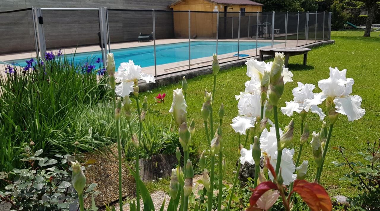 Gites De La Croisee Des Chemins - Piscine Chauffee - Spa, Hammam Et Sauna Izeaux Exterior photo